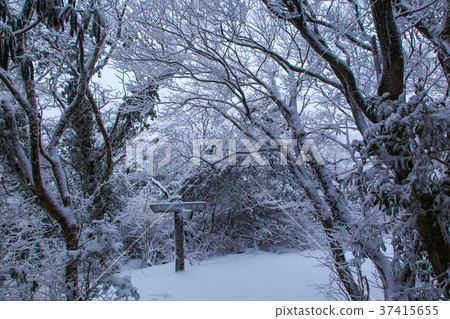 雲仙山山脈足跡雪場面 雲仙山山脈足跡雪場面 37415655