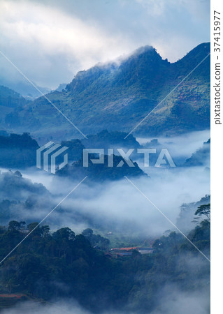 Fog in morning sunrise in tea plantation and hut Fog in morning sunrise in tea plantation and hut 37415977