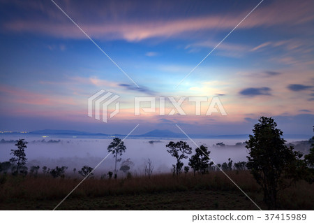 fog in morning sunrise at Thung Salang Luang fog in morning sunrise at Thung Salang Luang 37415989