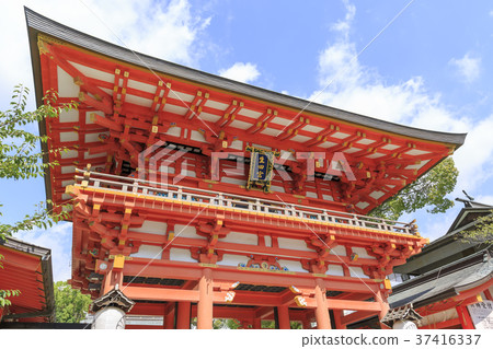兵庫縣生田神社 兵庫縣生田神社 37416337