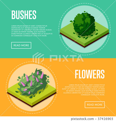 Bushes and flowers for park design posters 37416903