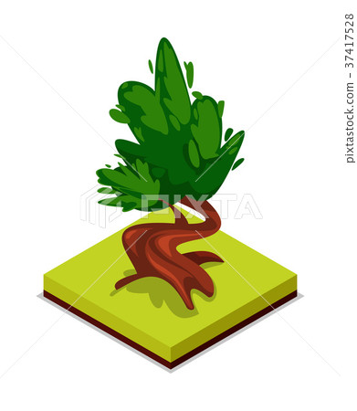 Green chestnut tree isometric 3D icon Green chestnut tree isometric 3D icon 37417528