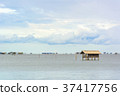 Landscape fishing cottage in sea . 37417756
