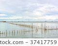 Landscape fishing cottage in sea . 37417759