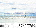 Landscape fishing cottage in sea . 37417760