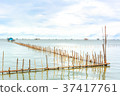 Landscape fishing cottage in sea . 37417761
