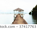 Seascape  pavilion wit bluesky for background 37417763