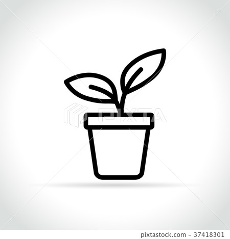 plant icon on white background plant icon on white background 37418301