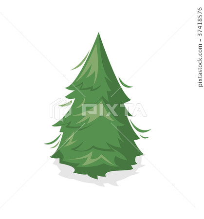Green pine tree isolated icon Green pine tree isolated icon 37418576