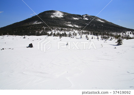 看看山的方向。 37419092