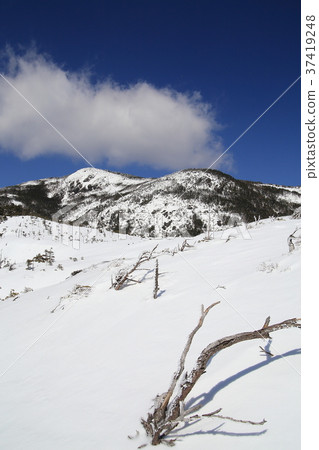 Near Kita Yatsugatake Tsuboiwa Near Kita Yatsugatake Tsuboiwa 37419248