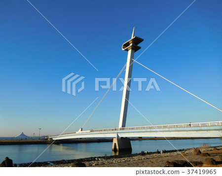 Sakai Rinkai Park Sakai Sakai Bridge的清晨 37419965