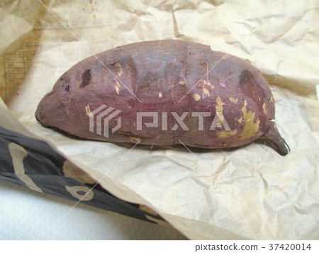 Delicious baked potato (red angel) Delicious baked potato (red angel) 37420014