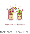 House plants. Couple. Vector illustration. 37420199