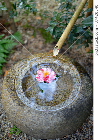 Shioshi Odoshi Shioshi Odoshi 37420340