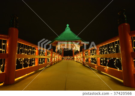 Ohori Park Illumination 37420566