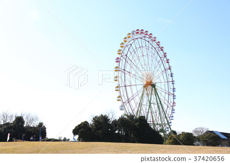 茨城縣日立海灘公園日惹市的摩天輪 37420656
