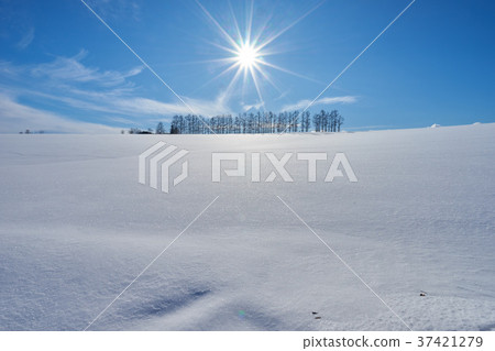 Biei Mild Seven Hill 37421279