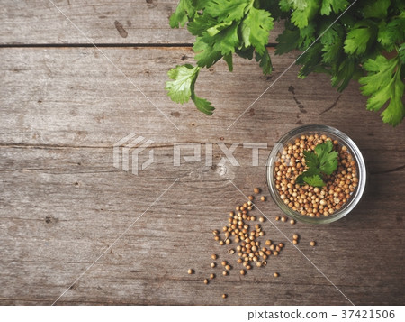 Coriander seeds Coriander seeds 37421506
