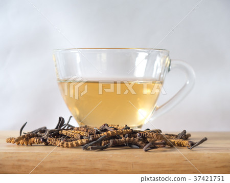 Select focus of mushroom cordyceps this a herbs Select focus of mushroom cordyceps this a herbs 37421751