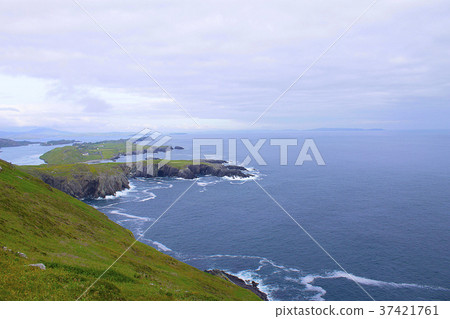 Rock cliffs of County Cork coast, Ireland Rock cliffs of County Cork coast, Ireland 37421761