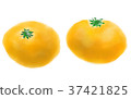 果子例證橘子 37421825