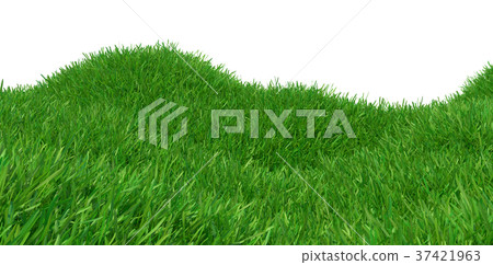 Green grass growing on hills with white background 37421963
