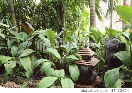 Lighting decoration in garden Lighting decoration in garden 37422664