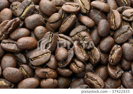 Kopi Ruak 37422835