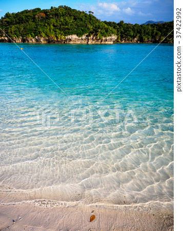 Kawahira Bay with outstanding transparency Kawahira Bay with outstanding transparency 37422992