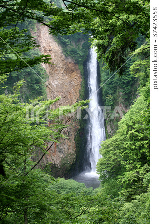 Waterfall of vibration that faces from Kuju Yume Large Suspension Bridge 37423558