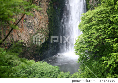 Waterfall of vibration that faces from Kuju Yume Large Suspension Bridge 37423559