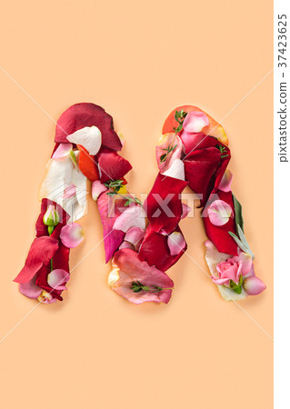Letter M made from red roses and petals isolated Letter M made from red roses and petals isolated 37423625