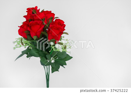 Rose - Flower, Backgrounds, Beauty, Close-up, Rose - Flower, Backgrounds, Beauty, Close-up, 37425222