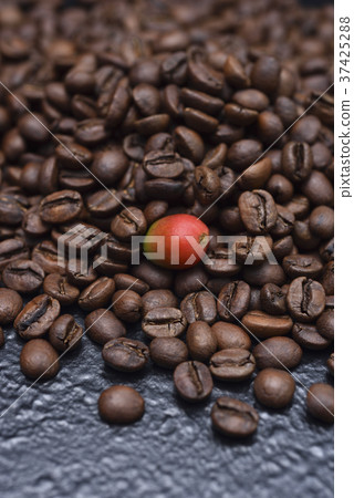 Coffee,coffee beans,food,raw,food,fresh,fresh,hot,illustration,agriculture,food,shelf,advertise, brewing, brewing coffee 37425288