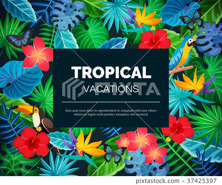 Tropical Exotic Background 37425397