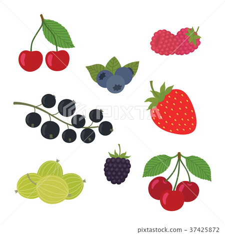 Berries Set Vector Illustration. Strawberry Berries Set Vector Illustration. Strawberry 37425872