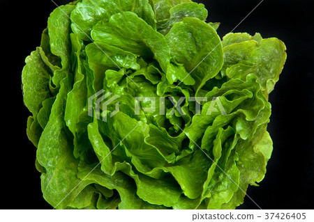 Top view close up of a head of lettuce Top view close up of a head of lettuce 37426405