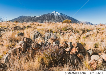 volcano El Teide in Tenerife, Spain 37426641