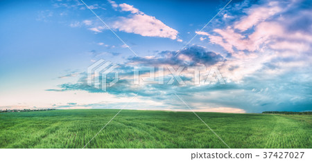 Rural Field Landscape Under Scenic Spring Blue 37427027