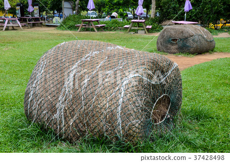 Haystack Haystack 37428498