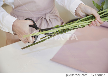 花店，花店，年輕女子，韓國 37428854