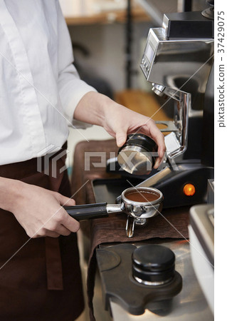 Cafe, Barista, Korean 37429075