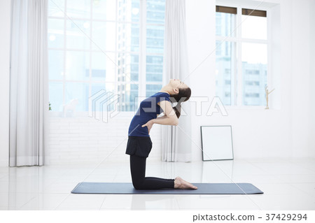 Yoga, Stretching, Young Women, Korean Yoga, Stretching, Young Women, Korean 37429294