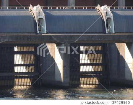 Shin-Shibakawa drainage machine station 37429550