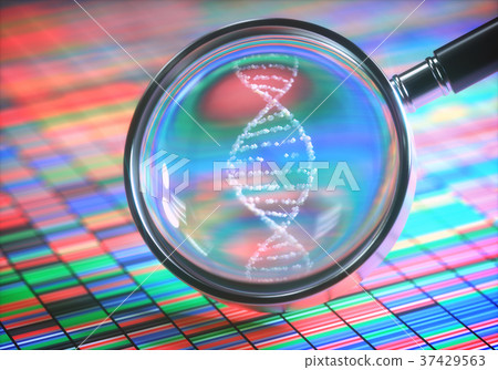 Amplifying DNA Helix Amplifying DNA Helix 37429563