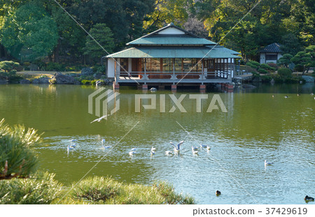 Kiyosumi garden: Oizumi water and Ryoi 37429619