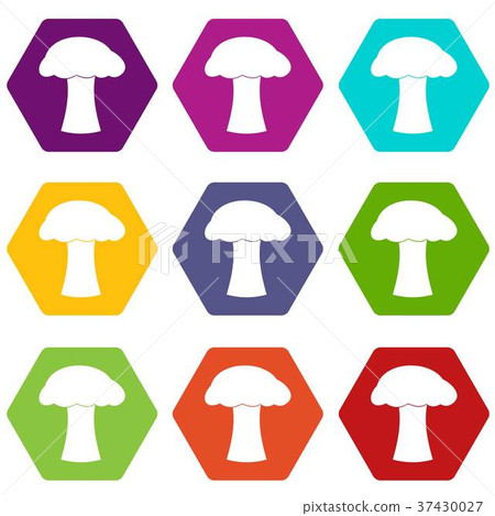 Mushroom icon set color hexahedron 37430027