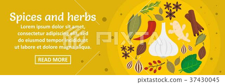 Spices and herbs banner horizontal concept Spices and herbs banner horizontal concept 37430045