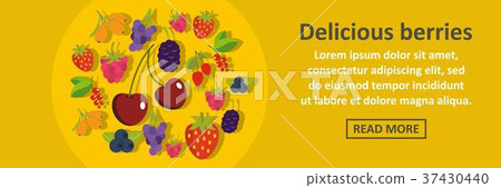Delicious berries banner horizontal concept Delicious berries banner horizontal concept 37430440